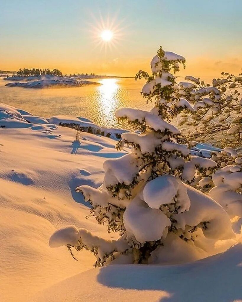 Доброе утро красивый снег. Солнечный зимний день. Зима солнце. Зимняя природа. Зимний рассвет.