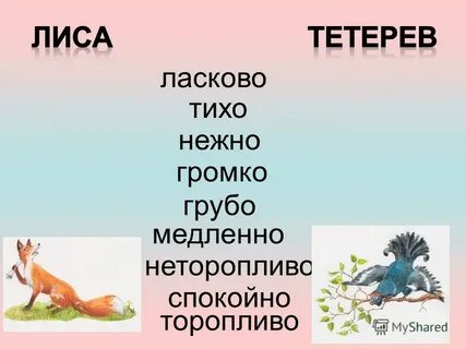 Характеристика лисы и тетерева