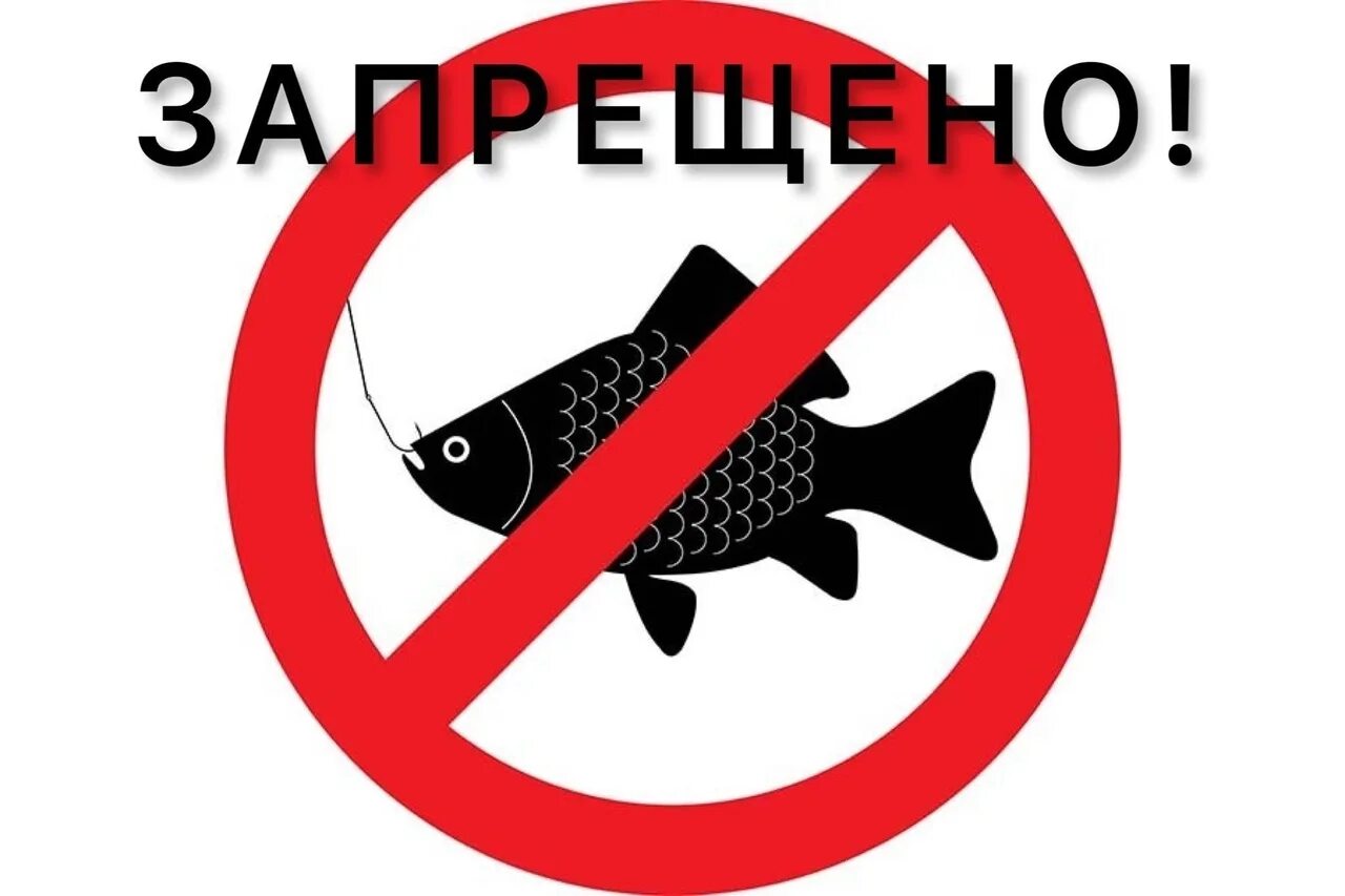 Где можно ловить в запрет. Нерестовый запрет. нерест запрет. ловля рыбы запрещена. запрет на вылов рыбы.
