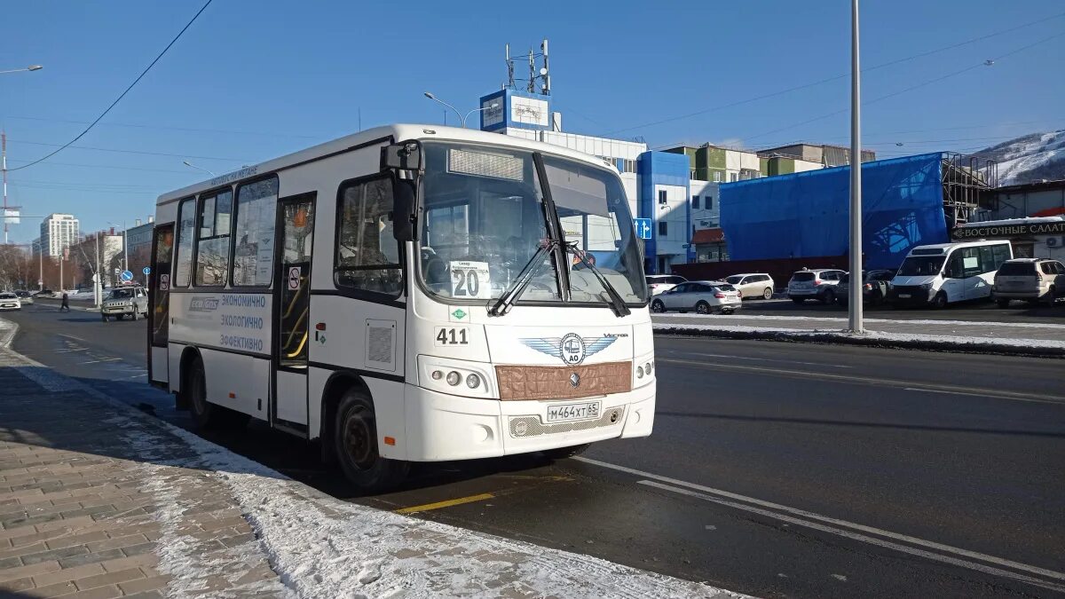 паз 2023 автобус. новый пазик. паз 3206 школьный автобус. паз 2023 автобус. автобус.