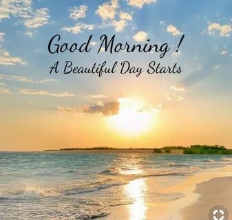 Best morning