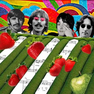 Strawberry fields forever