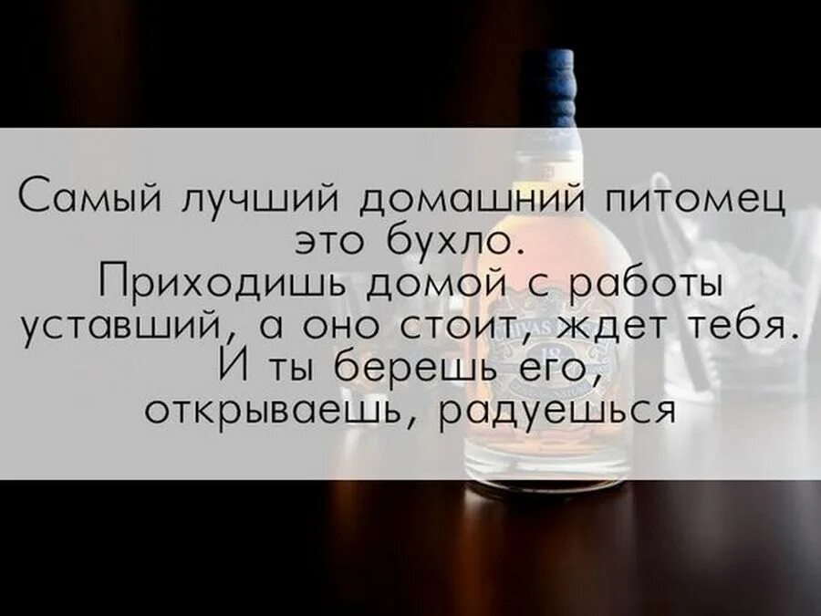 Бухло текст. Шутки про алкоголь. Смешные шутки про алкоголь. Анекдоты про алкоголь. Цитаты о выпивке прикольные.