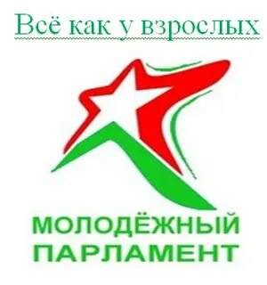 Молодежный парламент республики беларусь