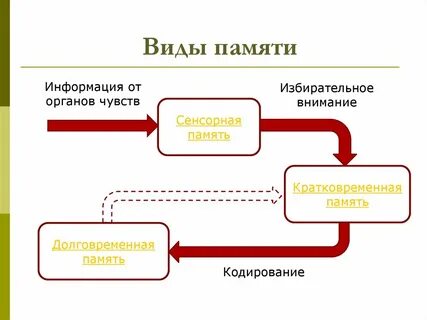 Сенсорная память
