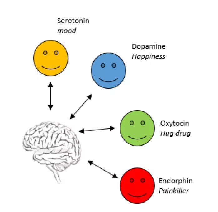 Эндорфин чувство вызывает в человеке. Дофамин серотонин Эндорфин. Гормоны счастья Эндорфин серотонин дофамин окситоцин. Эндорфины дофамин серотонин. Нейромедиаторы и эмоции.