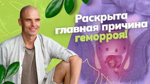 Здоровья геморроя