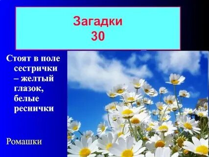 Загадка стоит в поле