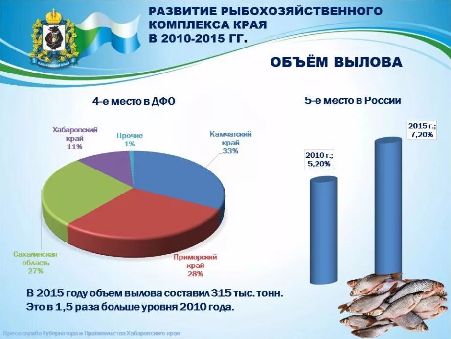 Хабаровский край официальная статистика. Статистика рыболовства в России. Рыбная промышленность в России статистика. Рыбохозяйственный комплекс России. Диаграмма рыбной промышленности.