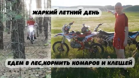 Едем мы лесами