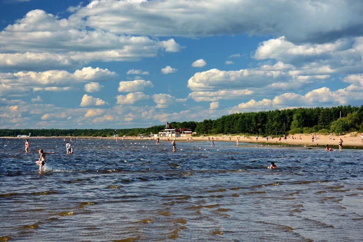 Берег для купания. Сестрорецкий пляж, Сестрорецк. Сестрорецк финский залив. Сестрорецкий курорт залив. Сестрорецк пляж Сестрорецкий курорт.