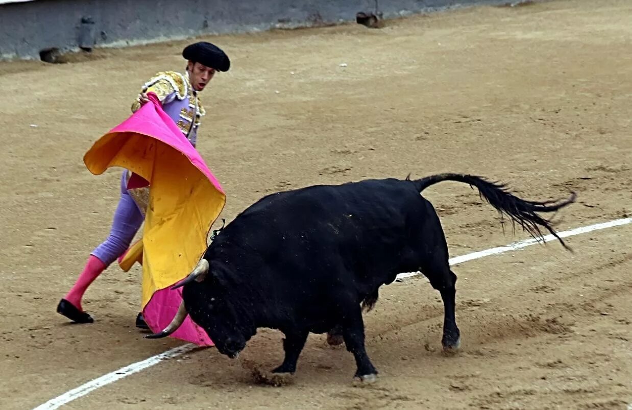 Тореадор смелее в бой слушать. Тореадор против корриды. Бои тореро тореро быков. Альваро морено матадор. Матадор коррида испания коррида.