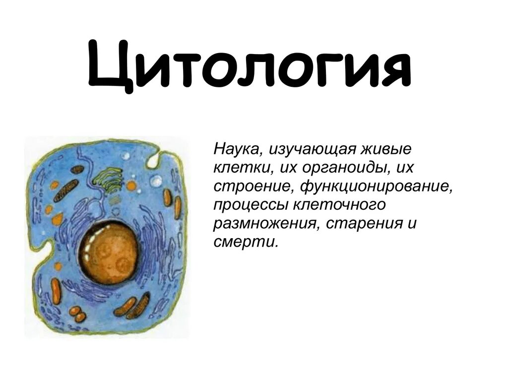 Не относится к живой клетке. Цитология наука о клетке. Цитология рисунок биология. Цитология что изучает рисунок. Цитология это наука изучающая в биологии.