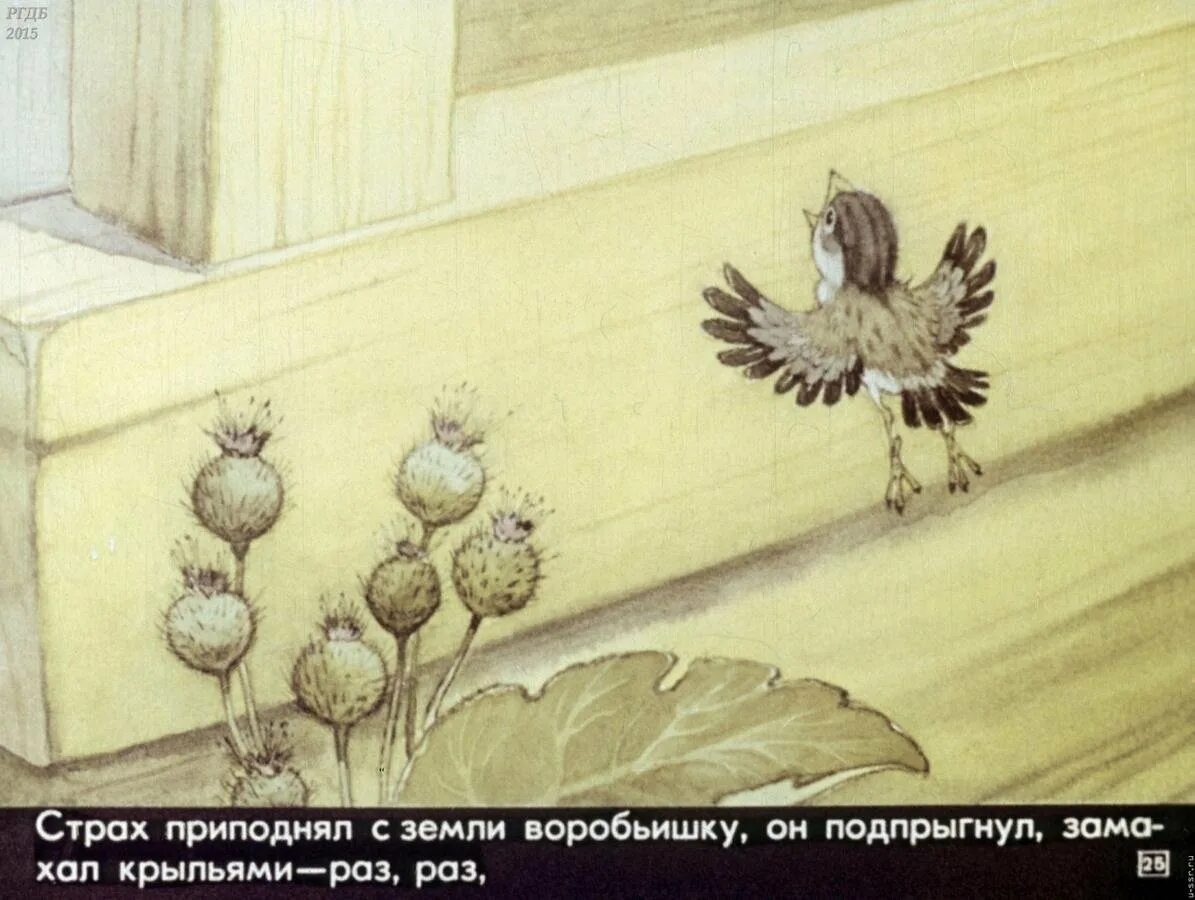 Сказка воробьишка. Сказка максима горького воробьишко. горький воробьишко пудик. иллюстрации к сказке воробьишко горького. иллюстрации к рассказу воробьишко максима горького.