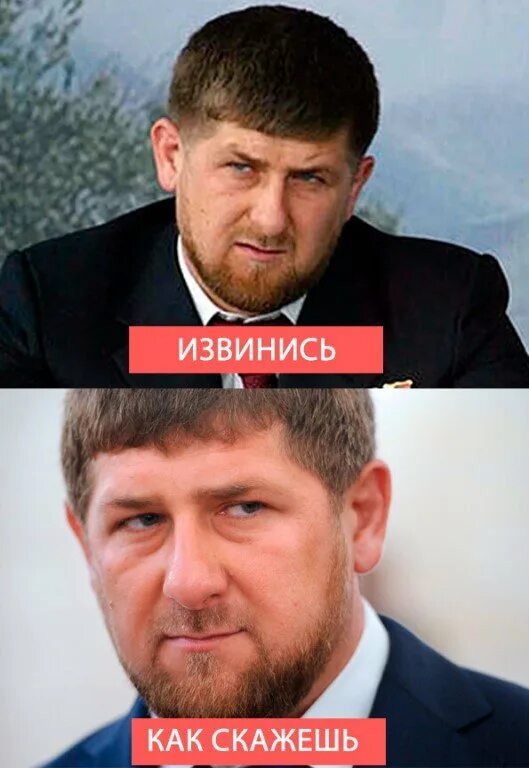 Кадыров извинения