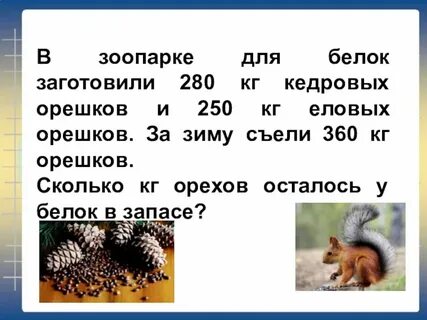 Задача белки