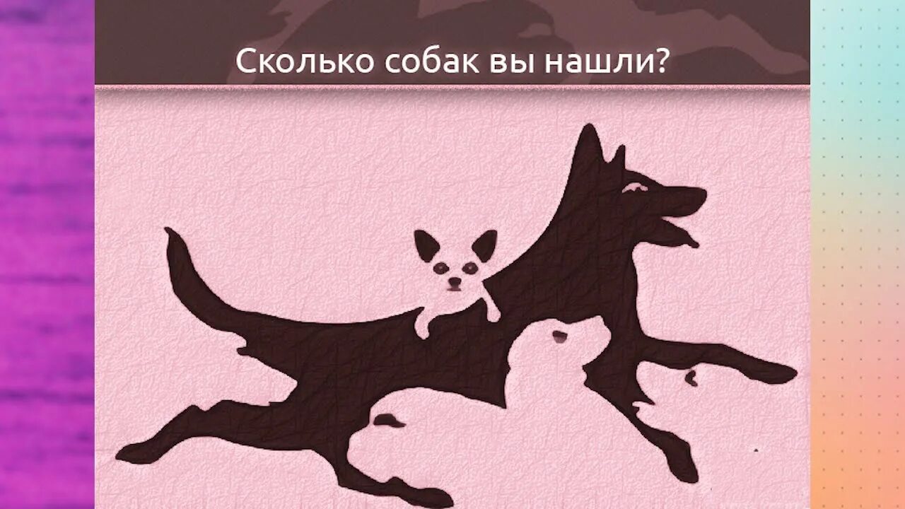 Сколько собак видишь. Тест с собаками на Возраст. Сколько собак вы видите. Сколько собак вы видите на картинке. Сколько собак на картинке.