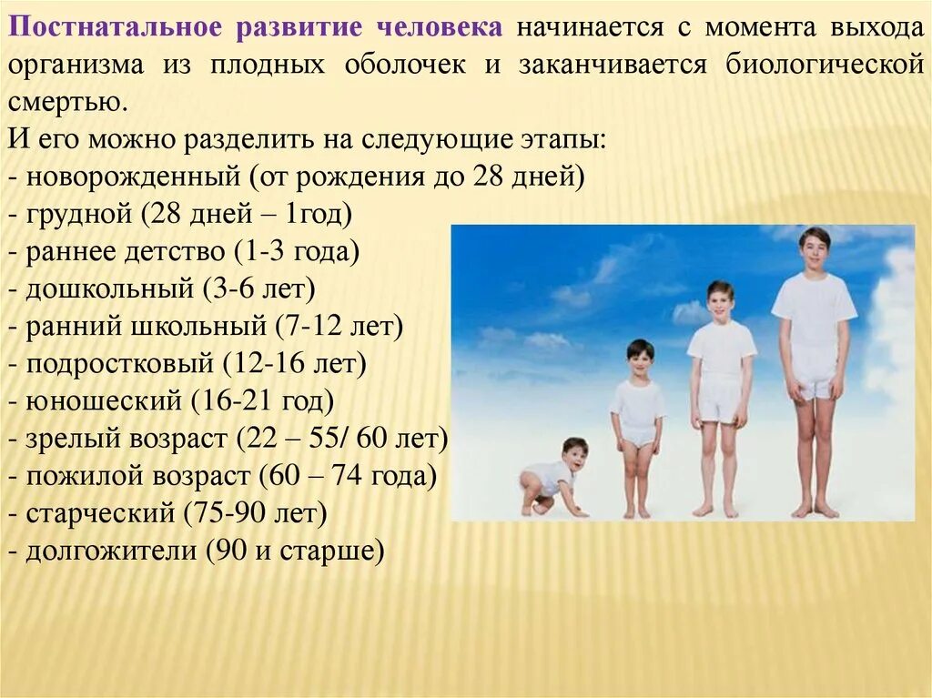 Развитие организма после рождения. Постнатальное развитие. Этапы развития организма человека. Периоды постнатального развития человека. Периоды развития организма человека.