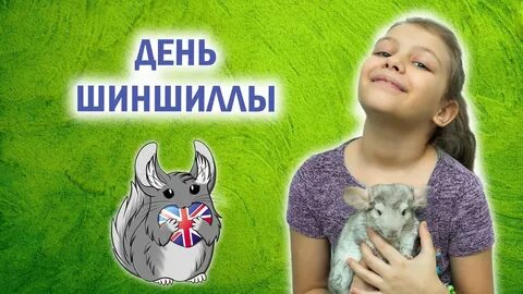 День шиншиллы