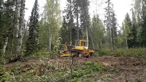 Эксплуатация тм