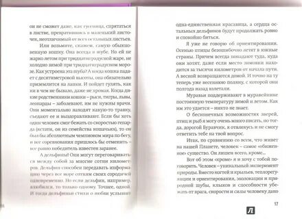 Казиник буравчик