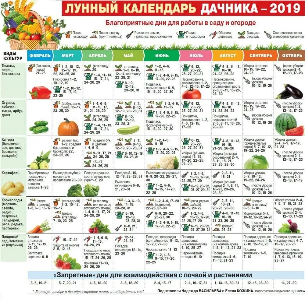 Дачный календарь на февраль. Лунный календарь для посадки томатов огурцов. лунный календарь 2025 посева семян на рассаду. лунный календарь для посадки овощей в грунт. благоприятные дни для посева лунный календарь.