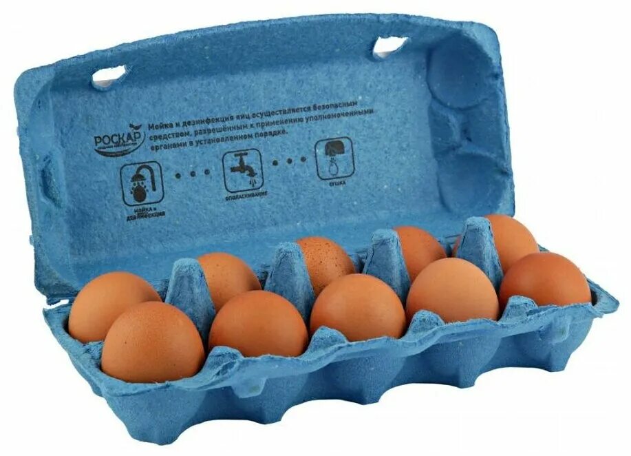 1 10 шт яйца