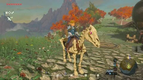 Zelda клан ига