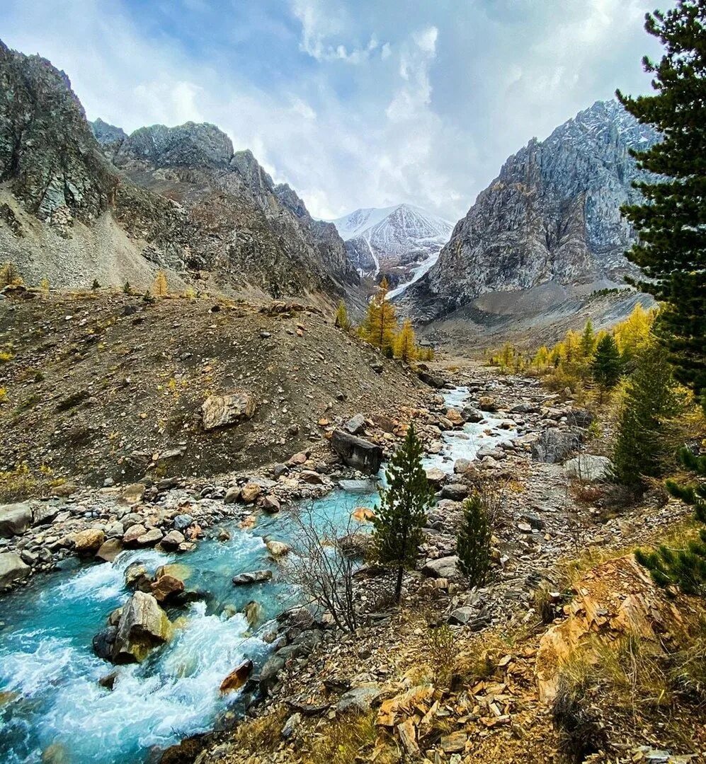 Актуру