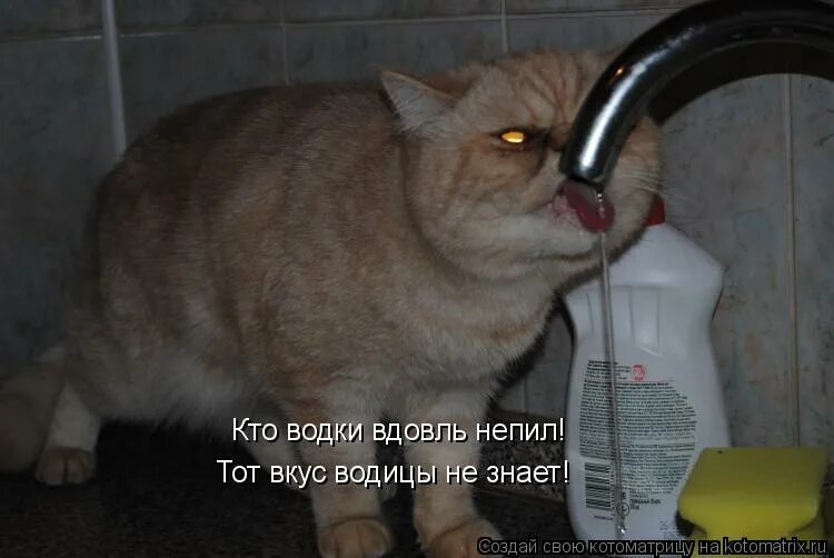 фото ни хрена себе. ванга хрен знает. когда хочешь чихнуть и не получается. хрена себе. открытка ни хрена себе.