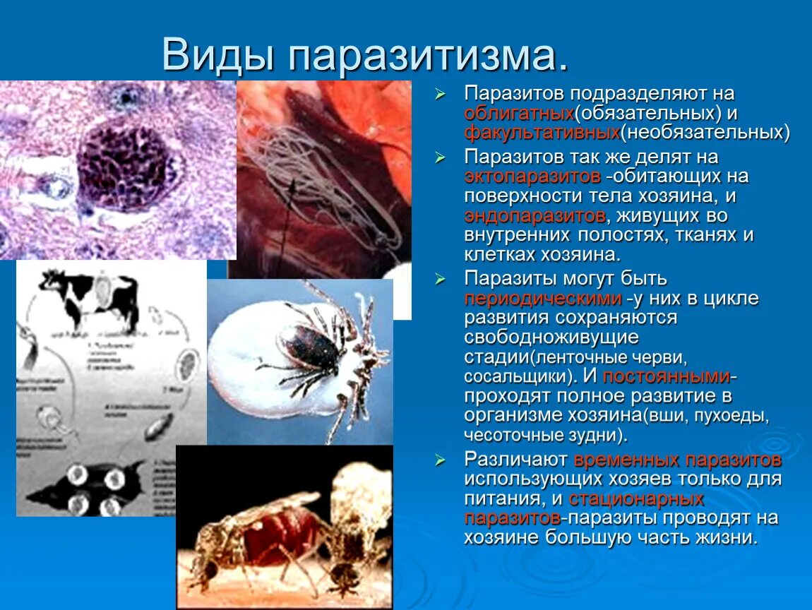 Паразитический стиль жизни