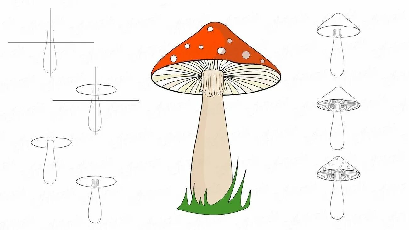 Грибы поэтапно. Рисование грибов белый гриб мухомор. Поэтапное рисование гриба. Поэтапное рисование гриба для детей. Нарисовать мухомор.