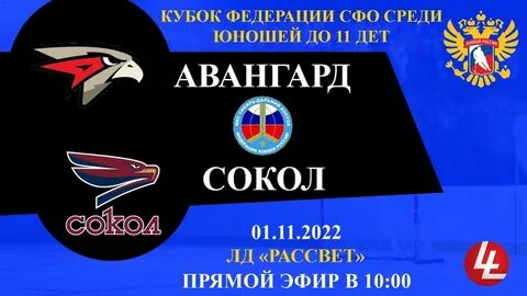 Трансляция сокол
