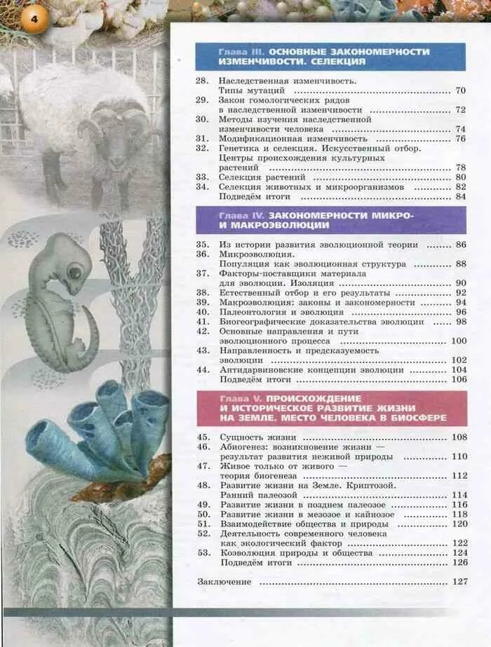 Биология 10 11 класс содержание. Биология 10-11 класс учебник сухорукова. учебник по биологии 10 класс сухорукова кучменко базовый уровень. биология 10 класс учебник содержание.