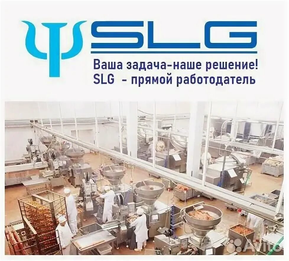 Дмитров авито свежие вакансии. Вакансии дмитров. работа в дмитрове свежие вакансии. работа в дмитрове вакансии it. авито дмитров.