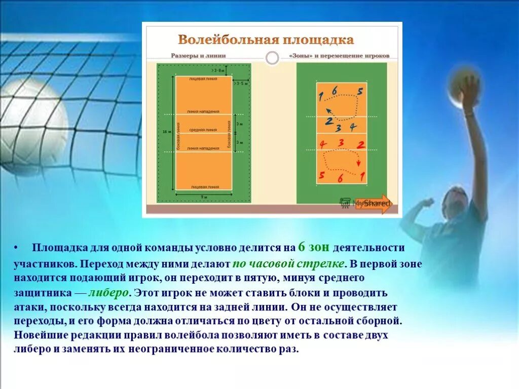 Тест по волейболу 6 класс. Зона для игроков волейбола на площадке игры. Зоны волейбольной площадки. Волейбольная площадка с зонами игроков. Волейбольная площадка условно делится на зоны.