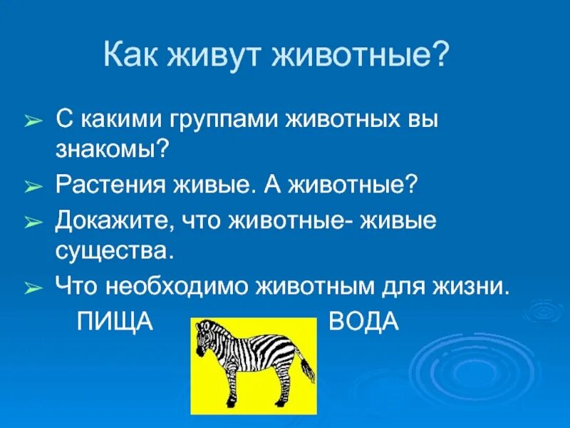 Назовите известных вам животных. Животные живые существа. Как живут животные. Животным для жизни необходимы. Животное живое существо.