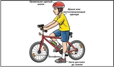 Научить кататься на велосипеде двухколесном