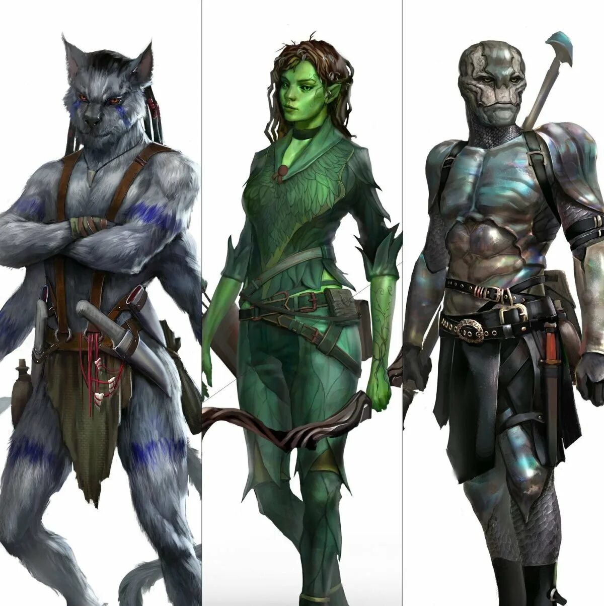 Создания расы. Расы днд 5. гуманоидные расы днд. фаэрун расы. dungeons &amp; dragons расы dungeons &amp; dragons.