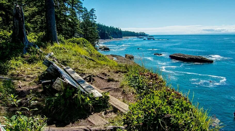 Береговая линия канады. West Coast Trail. Ванкувер побережье. Береговая линия Канады фото.