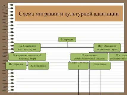 Миграция останкинский
