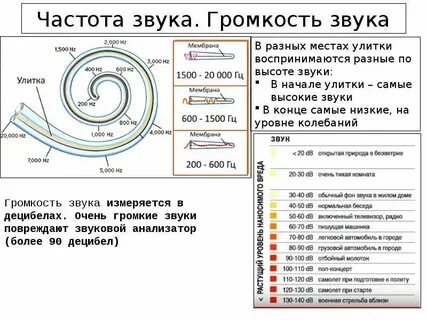 Как звучит частота 3 герца