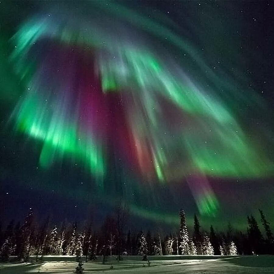 Северное полярное сияние. Аврора бореалис норвегия. Чукотское нагорье полярное сияние. Сияет сиянье. Северное сияние в людиново.