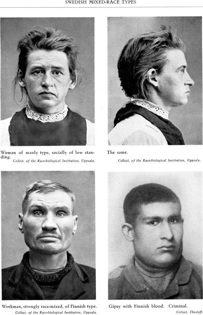 Расовый тип 4. Расовые типы. арийская раса. финский тип лица. расовая неполноценность.