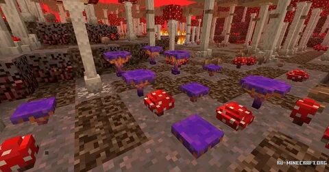 Better 1.12 2
