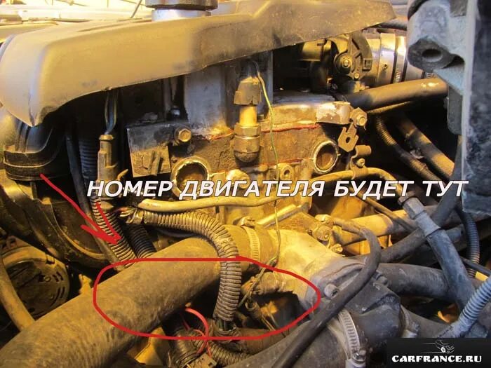 Где находится номер двигателя на Приоре 16 клапанов: фот, видео