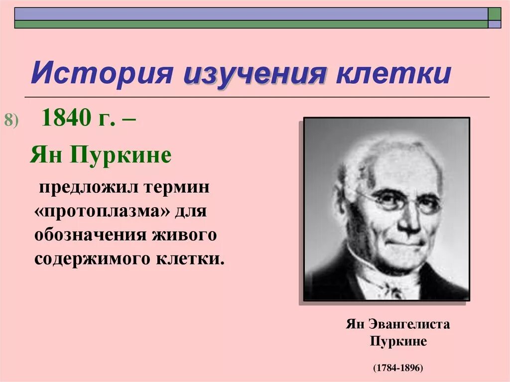 История изучения клетки Пуркинье. Теория клеточная Пуркине. Пуркинье вклад в изучение клетки.