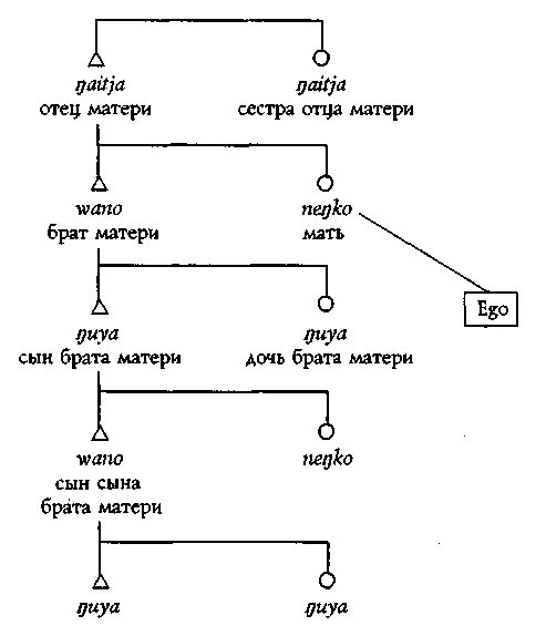 Сын дочери брата