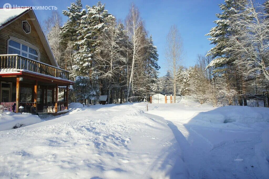 тюнево поселок тюмень. тюнево коттеджный поселок. кп 25 сосен тюнево. сеянцы сосны селекционная категория. 25 сосен.