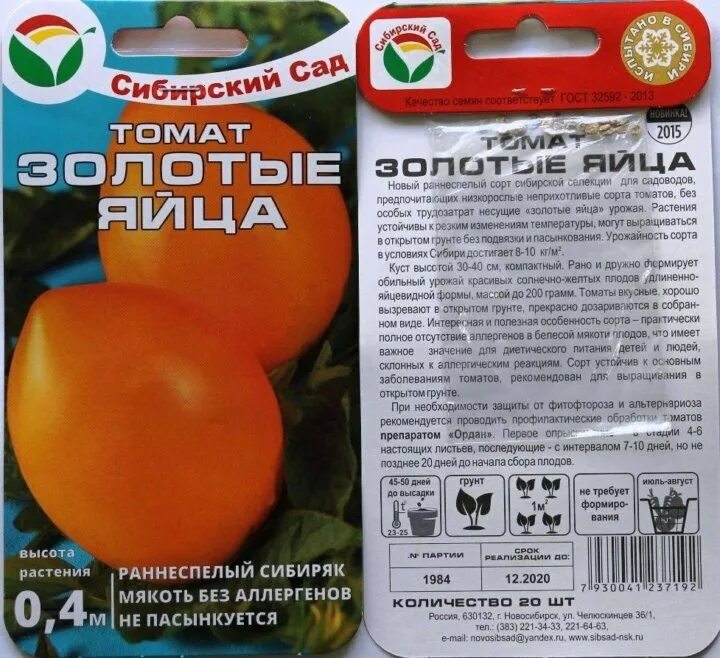 Характеристика сорта томатов золотое яйцо